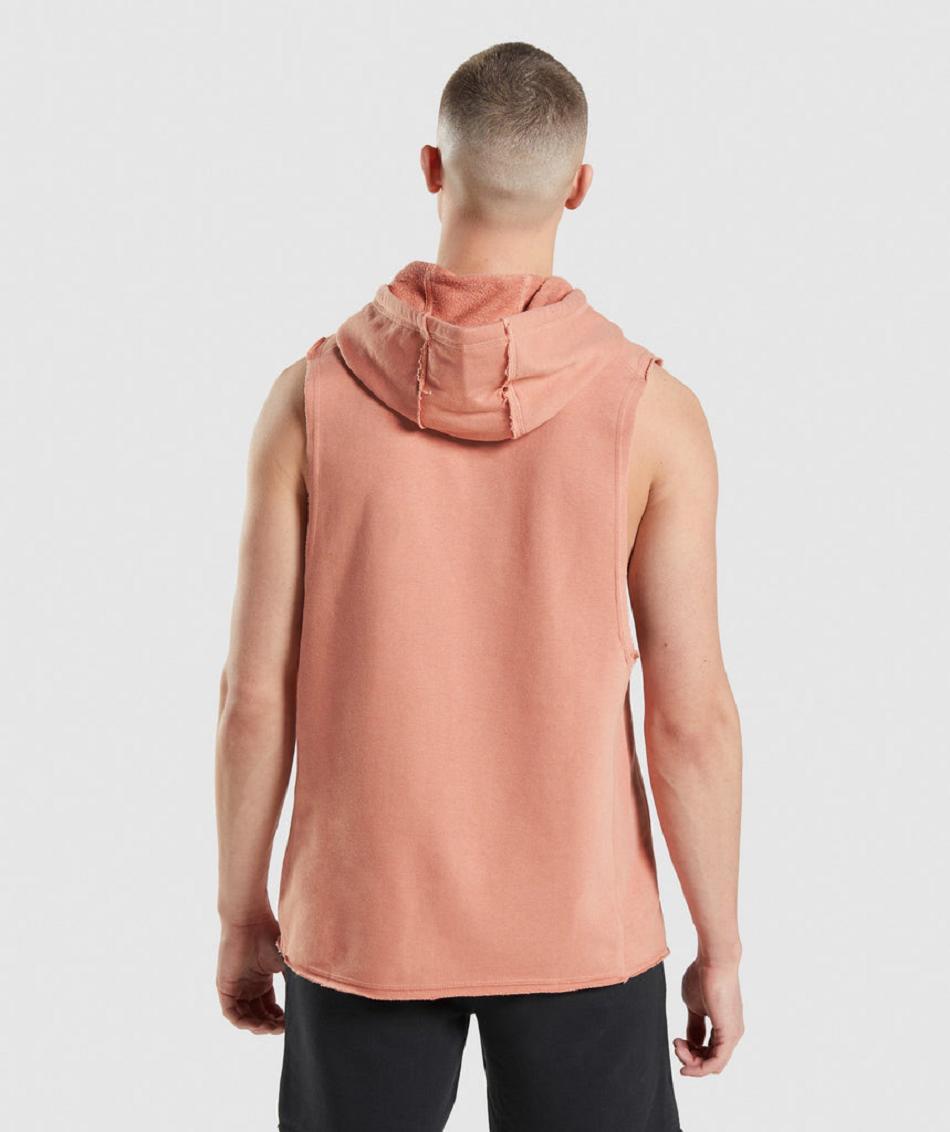 Sudadera Con Capucha Gymshark Legacy Drop Arm Hombre Rosas | CO 3634GSO